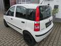 Fiat Panda 1.1 nur 46558km 1.Hand KD/ZR/TÜV/Bremse VA neu Blanc - thumbnail 7