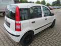 Fiat Panda 1.1 nur 46558km 1.Hand KD/ZR/TÜV/Bremse VA neu Blanc - thumbnail 5