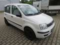 Fiat Panda 1.1 nur 46558km 1.Hand KD/ZR/TÜV/Bremse VA neu Blanc - thumbnail 4