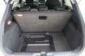 Ford Puma Titanium 1.0 EcoBoost Navi WINTERPAKET Alb - thumbnail 10