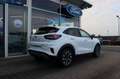 Ford Puma Titanium 1.0 EcoBoost Navi WINTERPAKET Alb - thumbnail 7