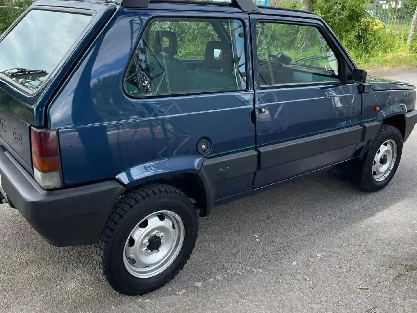 Fiat Panda 4x4 Bleu - 1