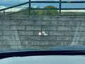 Kia Sorento AWD 1.6T GDi HYBRID 7 PLACES BOITE AUTO EXTRA FULL Blauw - thumbnail 29