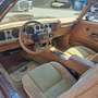 Pontiac Trans Am 6.6 litri - thumbnail 4