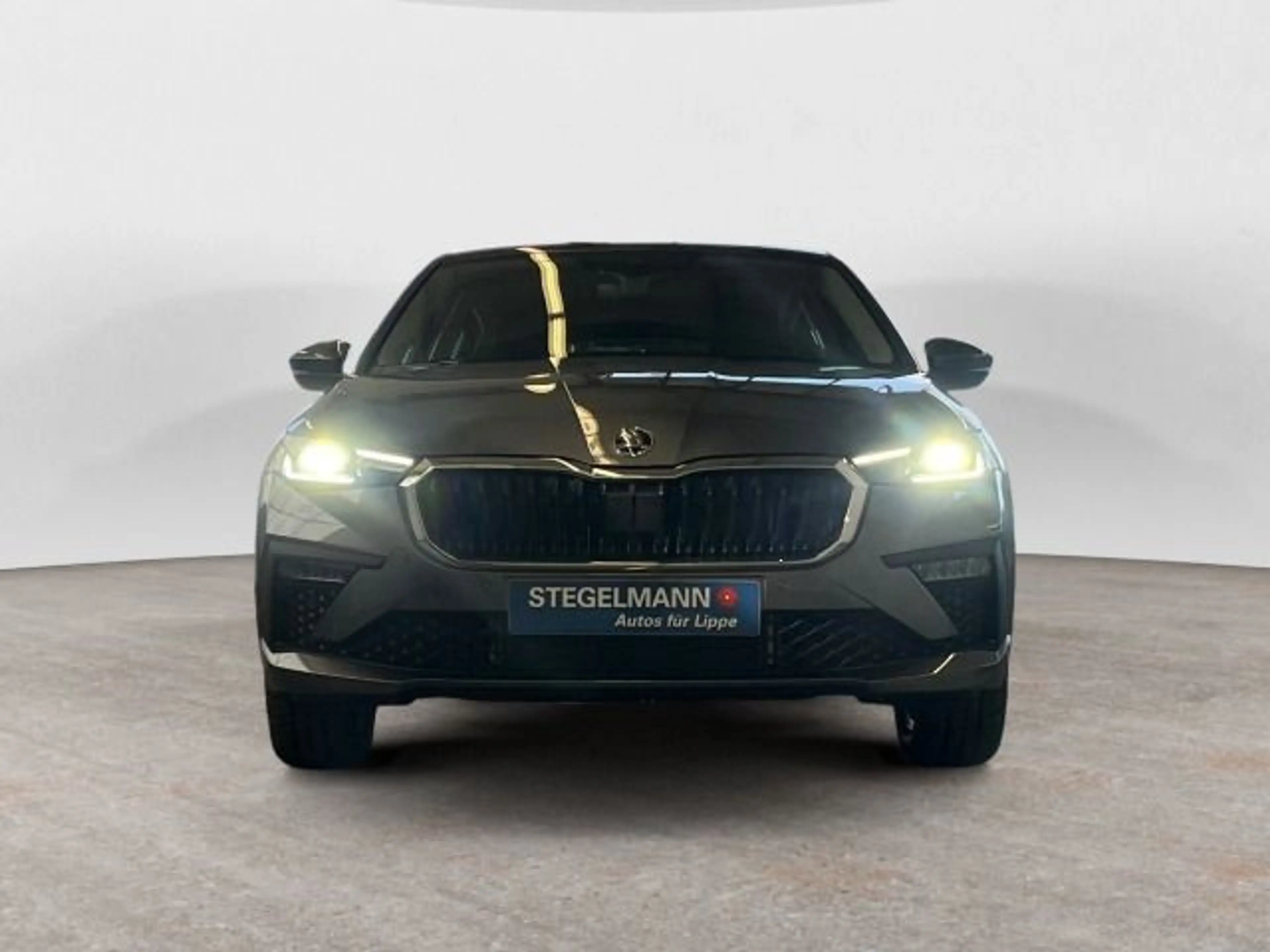 Skoda Scala 1.0 TSI DSG Selection — photo 9