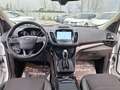 Ford Kuga TITANIUM 1.5 TDCI 120cv AUTOMAT. NAV+RETROCAM. Blanco - thumbnail 18