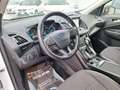 Ford Kuga TITANIUM 1.5 TDCI 120cv AUTOMAT. NAV+RETROCAM. Blanc - thumbnail 13