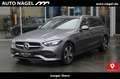 Mercedes-Benz C 300 C 300 T e Avantgarde AHK+LED+360°KAMERA+NAVI+DAB Grau - thumbnail 1