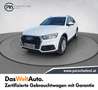 Audi Q5 2.0 TDI ultra quattro Weiß - thumbnail 1