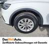 Audi Q5 2.0 TDI ultra quattro Weiß - thumbnail 14