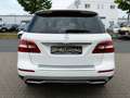 Mercedes-Benz ML 350 CDI BlueTec *Navi-Comand*Bi-Xenon*CAM*SHZ Fehér - thumbnail 4