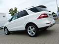 Mercedes-Benz ML 350 CDI BlueTec *Navi-Comand*Bi-Xenon*CAM*SHZ Fehér - thumbnail 6