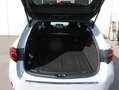 Toyota Corolla Corolla 2,0 Hybrid Touring Sports GR-Sport Navi! Weiß - thumbnail 16
