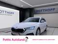 Skoda Octavia Combi 2.0 TDI DSG STYLE NAVI AHK KAMERA PDC Weiß - thumbnail 1