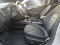 Ford Focus Turnier 1,5 EcoBlue Active Vignale Argent - thumbnail 7