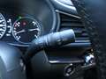 Mazda CX-30 2.5 e-SkyActiv-G M Hybrid Takumi | 360°-camera | B Grijs - thumbnail 43