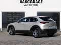 Mazda CX-30 2.5 e-SkyActiv-G M Hybrid Takumi | 360°-camera | B Grijs - thumbnail 3
