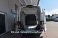 Ford Transit Kasten 350 L3H3 Trend Klima Tempomat PDC Bianco - thumbnail 8