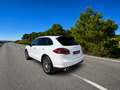 Porsche Cayenne Turbo Aut. Blanco - thumbnail 11