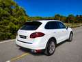 Porsche Cayenne Turbo Aut. Blanco - thumbnail 21