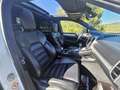 Porsche Cayenne Turbo Aut. Blanco - thumbnail 7
