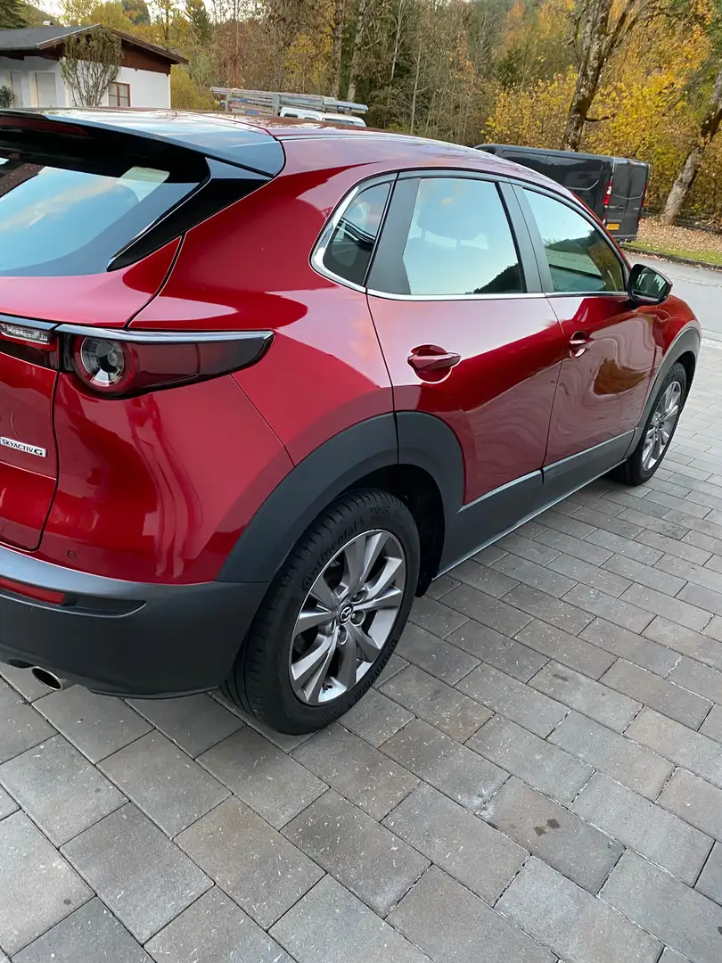Mazda CX-30 CX-30 G122 AWD Comfort+/SO/ST Comfort+/SO/ST Rot - 2