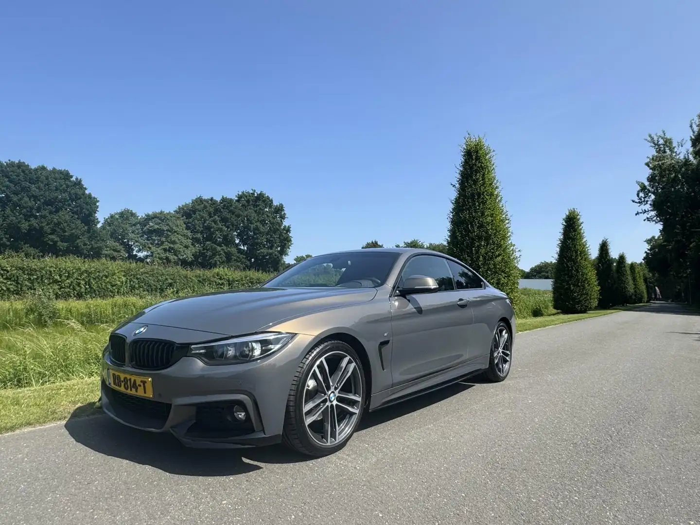 BMW 420 4-serie Coupé 420i High Executive Gris - 2