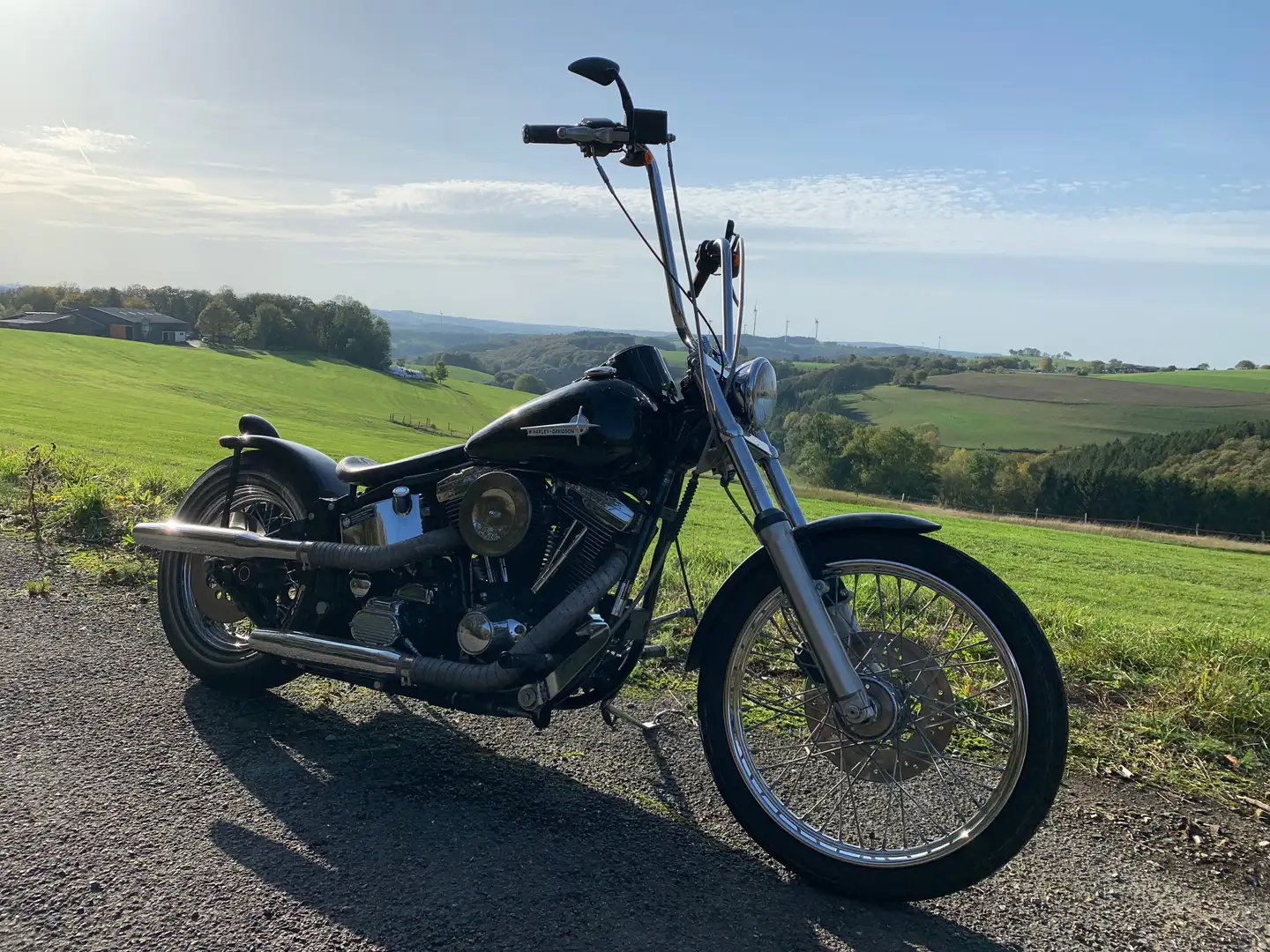 Harley-Davidson Custom Bike Softail Custom Negru - 2