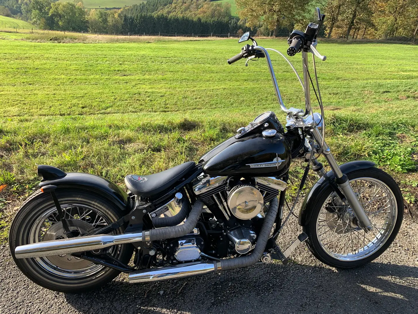 Harley-Davidson Custom Bike Softail Custom Negru - 1