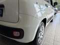 Fiat New Panda 1.2 8V *EASY KLIMA* Weiß - thumbnail 7