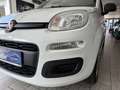Fiat New Panda 1.2 8V *EASY KLIMA* Weiß - thumbnail 6