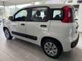 Fiat New Panda 1.2 8V *EASY KLIMA* Weiß - thumbnail 2