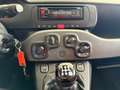 Fiat New Panda 1.2 8V *EASY KLIMA* Weiß - thumbnail 12
