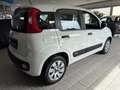 Fiat New Panda 1.2 8V *EASY KLIMA* Weiß - thumbnail 3