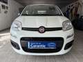 Fiat New Panda 1.2 8V *EASY KLIMA* Weiß - thumbnail 5
