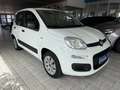 Fiat New Panda 1.2 8V *EASY KLIMA* Weiß - thumbnail 4