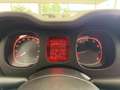 Fiat New Panda 1.2 8V *EASY KLIMA* Weiß - thumbnail 13