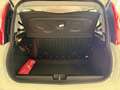 Fiat New Panda 1.2 8V *EASY KLIMA* Weiß - thumbnail 8
