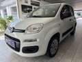 Fiat New Panda 1.2 8V *EASY KLIMA* Weiß - thumbnail 1