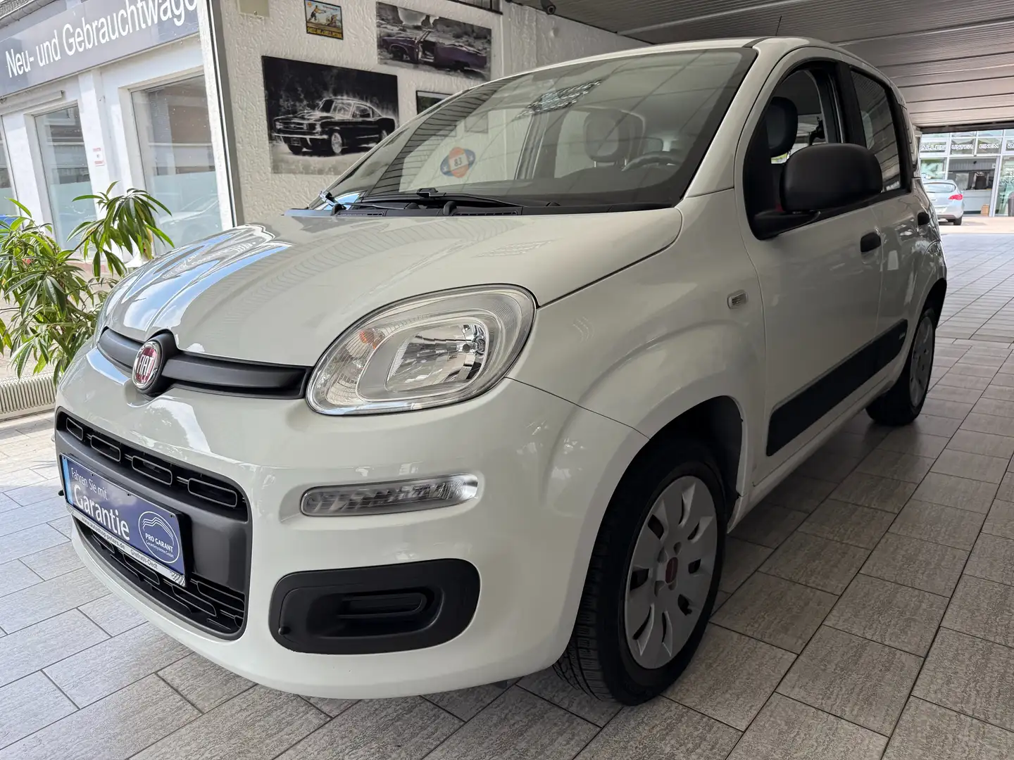 Fiat New Panda 1.2 8V *EASY KLIMA* Weiß - 1