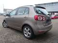 Volkswagen Golf Plus VI Comfortline 1.HAND Braun - thumbnail 3