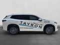 Volkswagen Tayron R-Line 2.0 TDI DSG 4M | IQ.LIGHT STANDHZ Weiß - thumbnail 15
