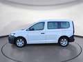 Volkswagen Caddy 1.5 TSI BMT (5-Si.) Kombi Weiß - thumbnail 3