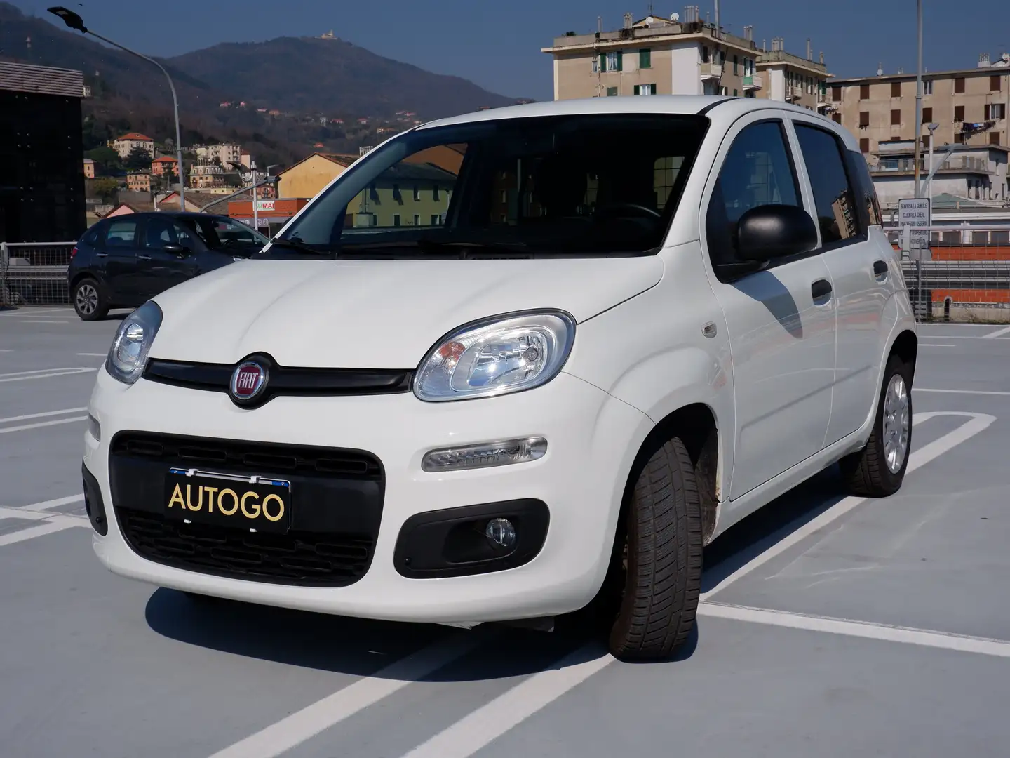 Fiat New Panda 1.2 69cv VAN 2 POSTI EURO6D-TEMP POP Alb - 1