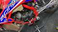Beta RR 50 Racing - thumbnail 10