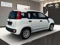 Fiat Panda Urban Klima PDC Allwetterreifen 1.Hand Wit - thumbnail 5