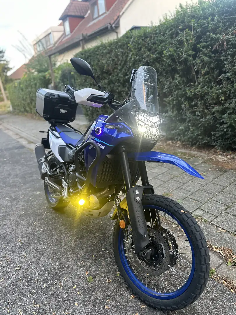 Yamaha Ténéré 700 Bleu - 2