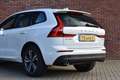 Volvo XC60 T8 407PK Twin Engine AWD Momentum | Business Pack Blanco - thumbnail 14