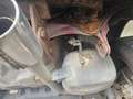 Toyota Urban Cruiser 1,33 dVVT-i S&S High Nur 70000 KM! 1-Hand ! WR ... Rot - thumbnail 50