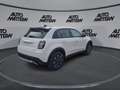 Fiat 600 1.2 Mild-Hybrid Sonderedition Blanc - thumbnail 6